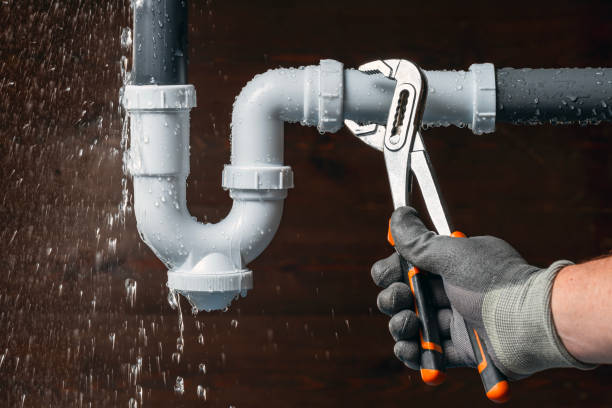 Professional Plumbing technician working in Linden, IA